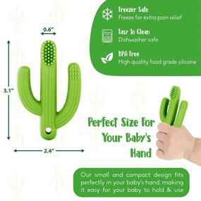 img 1 attached to Cactus Baby Teething Toys - Soft Silicone Teether and Training Toothbrush for Newborns and Toddlers, BPA Free, Soothes Sore Gums, Self-Soothing Pain Relief