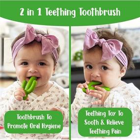 img 3 attached to Cactus Baby Teething Toys - Soft Silicone Teether and Training Toothbrush for Newborns and Toddlers, BPA Free, Soothes Sore Gums, Self-Soothing Pain Relief