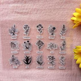 img 4 attached to GAWEI Plant Dandelion Clear Stamps: Beautify Cards, Scrapbooks & Albums with Stunning Rubber Stamps!