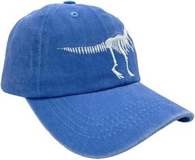 img 2 attached to Dinosaur Embroidered Baseball Accessories and Hats & Caps for Boys - NVJUI JUFOPL