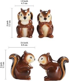 img 2 attached to 🐿️ Bico Squirrel Salt and Pepper Shaker Set, Hand-painted, Dishwasher-safe