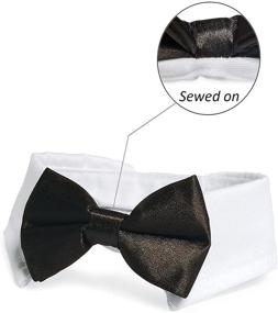 img 1 attached to 🐶 KOOLMOX Adjustable White Dog Collar with Formal Bow Tie - Classic Pet Bow Tie for Small Medium Large Dogs, Perfect Tuxedo Outfit for Weddings, Holidays, and Valentine's Day