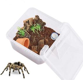 img 4 attached to Portable PETLAOO Critter Keeper: Ventilated Mini Insect Carrier with Ample Viewing Space and 5 Accessories for Spiders, Geckos, Cockroaches, Snails, and Hermit Crabs
