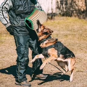 img 4 attached to AGJIDSO Training Equipment Handles Schutzhund