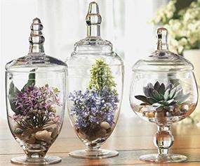 img 3 attached to 🏺 Home Essentials 3013 Apothecary Jar BB Terra Set of 3: Versatile and Stylish Storage Solution for any Home