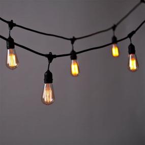 img 1 attached to 💡 Enhance Your Space with the Dimmable Squirrel Brooklyn Bulb Co: Illuminate in Style