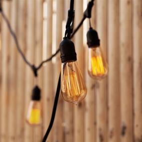 img 2 attached to 💡 Enhance Your Space with the Dimmable Squirrel Brooklyn Bulb Co: Illuminate in Style