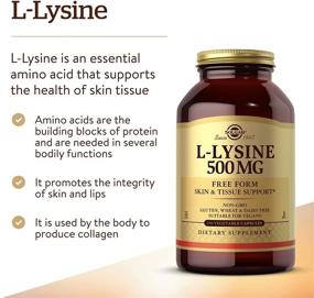 img 2 attached to 🌞 Solgar L-Lysine 500 mg - Promotes Skin & Lips Integrity - Collagen Support - Enhanced Absorption - Non-GMO, Vegan, Gluten Free - 250 Servings