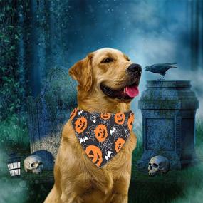 img 1 attached to 🎃 VIPITH Halloween Dog Bandana Set: 2 Pack Triangle Washable and Adjustable Kerchief Scarf Bibs for Pumpkin Bats Spider Dogs Cats Pets