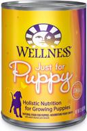 🐶 wellness complete health puppy chicken & salmon natural wet canned dog food логотип