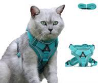 amogato cat harness and leash set - outdoor walking safety vest for cats and small dogs with reflective strip - adjustable and escape-proof - green/grey/blue logo