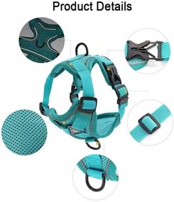 img 3 attached to Amogato Cat Harness and Leash Set - Outdoor Walking Safety Vest for Cats and Small Dogs with Reflective Strip - Adjustable and Escape-Proof - Green/Grey/Blue