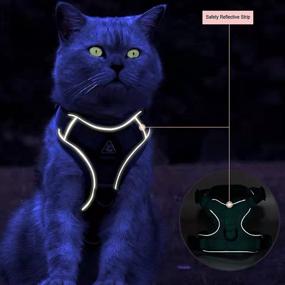 img 1 attached to Amogato Cat Harness and Leash Set - Outdoor Walking Safety Vest for Cats and Small Dogs with Reflective Strip - Adjustable and Escape-Proof - Green/Grey/Blue