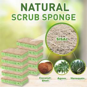 img 3 attached to SCRUBIT Plant-Based Natural Scrub Sponge – Biodegradable Dish Cleaning Sponge for Dishes, Kitchen, Bathroom & More - Non-Scratch Eco-Friendly Cleaning Sponge with Heavy Duty Scouring Pad – 10 Pack