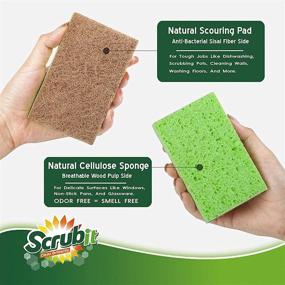 img 2 attached to SCRUBIT Plant-Based Natural Scrub Sponge – Biodegradable Dish Cleaning Sponge for Dishes, Kitchen, Bathroom & More - Non-Scratch Eco-Friendly Cleaning Sponge with Heavy Duty Scouring Pad – 10 Pack