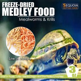img 2 attached to 🐢 Aquatic Turtle Medley Food: Freeze Dried Shrimp and Mealworms for Reptiles and Amphibians