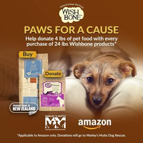 img 3 attached to 🐶 Wishbone Dry Dog Food – Grain Free New Zealand Lamb, All Life Stages – 24 lb.