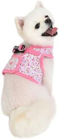 img 1 attached to 🌸 Puppia Wildflower Harness B: Stylish and Secure Pet Harness for Fashionable Pets