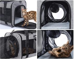 img 3 attached to 🐾 pecute Pet Carrier: Airline Approved, Soft Dog Cat Carrier - Convenient Foldable Handbag for Cats Puppies up to 16 lbs - Carrying Strap, Breathable Mesh, Removable Cushion Included