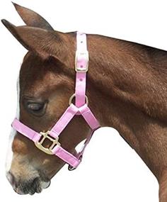 img 1 attached to Intrepid International Foal Halter Pink