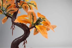 img 1 attached to 🌳 Penn-Plax Bonsai Tree Aquarium Decor: Explore a Variety of Sizes and Design Options for Eye-catching Aquatic Decoration