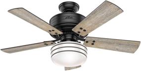 img 4 attached to Hunter Cedar Key 44 inch Black Ceiling 🔌 Fan with LED Light & Remote Control - Indoor/Outdoor 54149