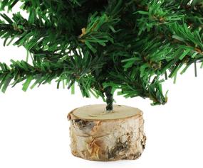 img 2 attached to 🎄 Pack of 3 AuldHome Mini Christmas Trees - 10-Inch Tabletop Holiday Decor, Canadian Pine Greenery