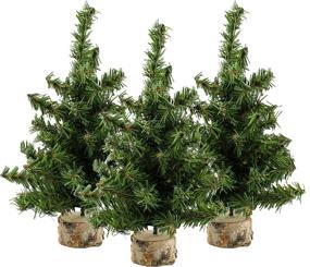 img 4 attached to 🎄 Pack of 3 AuldHome Mini Christmas Trees - 10-Inch Tabletop Holiday Decor, Canadian Pine Greenery