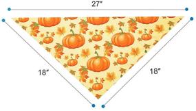 img 2 attached to Pohshido Thanksgiving Constume Triangle Reversible