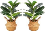 ferrgoal artificial fiddle leaf fig plants: realistic 22 inch fake ficus lyrata tree with 14 leaves - perfect indoor/outdoor decor for home, office, or modern spaces - includes pot and stylish woven seagrass belly basket - set of 2 логотип