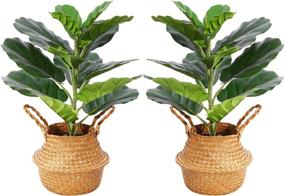 img 4 attached to Ferrgoal Artificial Fiddle Leaf Fig Plants: Realistic 22 Inch Fake Ficus Lyrata Tree with 14 Leaves - Perfect Indoor/Outdoor Decor for Home, Office, or Modern Spaces - Includes Pot and Stylish Woven Seagrass Belly Basket - Set of 2