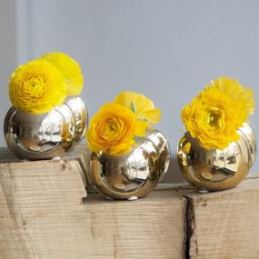 img 2 attached to 🌼 Chive - Set of 6 JoJo Small 3" Sphere, Round Ceramic Flower Vase, Decorative Modern Floral Vase for Home Decor Living Room Centerpieces and Events, Cute Bud Vase in Gold - Enhance Your Space with Stylish and Versatile Décor