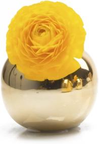 img 3 attached to 🌼 Chive - Set of 6 JoJo Small 3" Sphere, Round Ceramic Flower Vase, Decorative Modern Floral Vase for Home Decor Living Room Centerpieces and Events, Cute Bud Vase in Gold - Enhance Your Space with Stylish and Versatile Décor