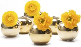 img 4 attached to 🌼 Chive - Set of 6 JoJo Small 3" Sphere, Round Ceramic Flower Vase, Decorative Modern Floral Vase for Home Decor Living Room Centerpieces and Events, Cute Bud Vase in Gold - Enhance Your Space with Stylish and Versatile Décor