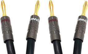 img 3 attached to 🔊 HannLinte 12AWG Премиум оплетенный акустический кабель с двумя позолоченными банановыми разъемами - с рейтингом In-Wall CL2, медь без кислорода (OFC) - 3 фута, черный