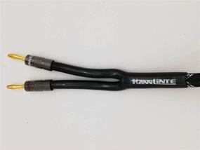 img 1 attached to 🔊 HannLinte 12AWG Премиум оплетенный акустический кабель с двумя позолоченными банановыми разъемами - с рейтингом In-Wall CL2, медь без кислорода (OFC) - 3 фута, черный