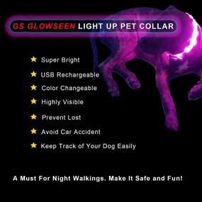 img 2 attached to 🐶 Enhanced Visibility and Safety: USB Rechargeable LED Dog Collar with Color-Changing Lights - Perfect for Walking Your Dog at Night!