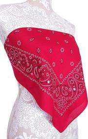 img 2 attached to Stylish Bandana Crop Shirt: Perfect Women's Accessory for Scarves & Wraps