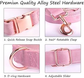 img 2 attached to 🐶 Barkless Dog Collar and Leash Set: Adjustable Velvet Collars with Comfortable Snap Buckle for Small, Medium, Large Dogs