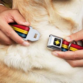 img 3 attached to 💛 Seatbelt Buckle Dog Collar - Captain Marvel Stripe in Red, Gold, and Blue