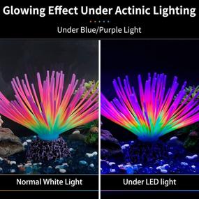 img 3 attached to ✨ Uniclife Imitative Rainbow Sea Urchin Ball: Glowing Aquarium Ornament for Fish Tank Decoration