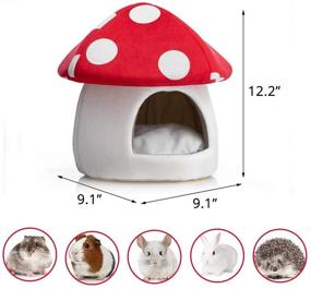 img 2 attached to 🏠 Hollypet Warm Small Pet Bed for Dutch Pigs, Hamsters, Hedgehogs, Rats, Chinchillas, and Guinea Pigs - Mini House Nest Habitat