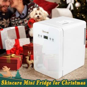 AstroAI Mini Fridge 10 Liter/15 Can, Compact Skincare Refrigerator