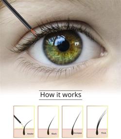 img 2 attached to Eyelash Eyebrow Enhancer содержит гипоаллергенный продукт