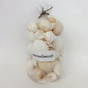 img 1 attached to 🐚 PEPPERLONELY White Sea Shells Assortment: 16 OZ Bag, Various Sizes, 40 PC Shells - 1 to 4 Inch