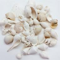 🐚 пепперлонели белые ракушки из белого моря: 16 унций, различных размеров, 40 шт. ракушек - от 1 до 4 дюймов. логотип