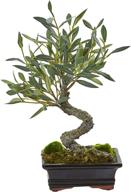 🌳 shop the stunning nearly natural mini olive bonsai artificial tree - lifelike, green, & compact at 8.5 in. w x 6 in. d x 13 in. h! логотип