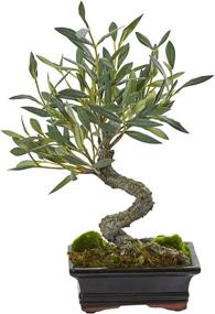 img 1 attached to 🌳 Shop the Stunning Nearly Natural Mini Olive Bonsai Artificial Tree - Lifelike, Green, & Compact at 8.5 in. W x 6 in. D x 13 in. H!