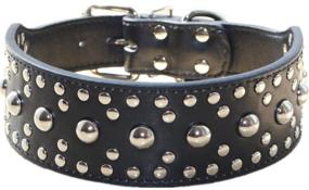 img 1 attached to 🐾 2&#34; Wide Leather Studded Dog Collar Chain Leash Combo Set for Medium Large Pitbull Husky Mastiff Terrier - Haoyueer Pet Supply