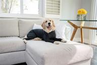 🐶 shed defender original dog onesie: shark tank featured, ultimate shedding solution for a hair-free home, car, and travel, anxiety relief, surgery recovery, e collar alternative logo